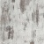 3167_larix_0