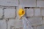 shop_property_file_315_468