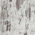 3167_larix_0