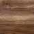 2065_s_dub_virdzhiniya_eksklyuziv_0