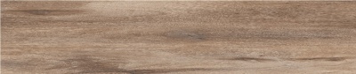 48752_1_1