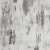 3167_larix_0