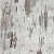 3167_larix_0